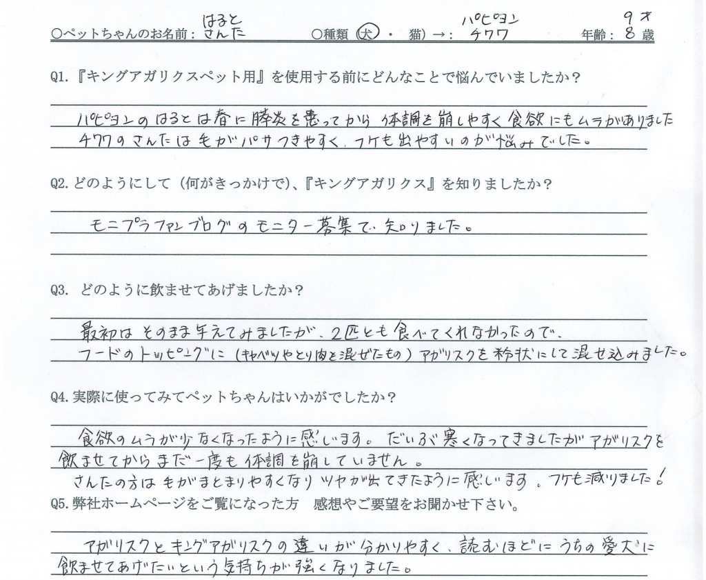 パピヨン 膵炎 とチワワ フケが出やすい にサプリを 口コミ 体験談12 2