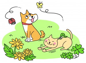 犬 猫を飼う時の注意点 春に気を付けたいこと