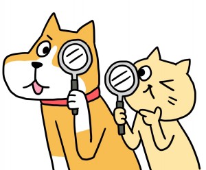 犬、猫の軟便・下痢の原因、対処法【動物看護士執筆コラム】
