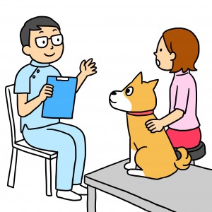 犬の扁平上皮癌 症状 原因 治療