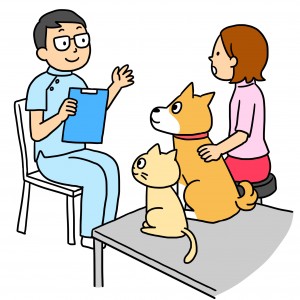 犬 猫の肝臓病 治療法や食事について 動物看護士執筆コラム