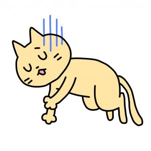 熱中症の猫