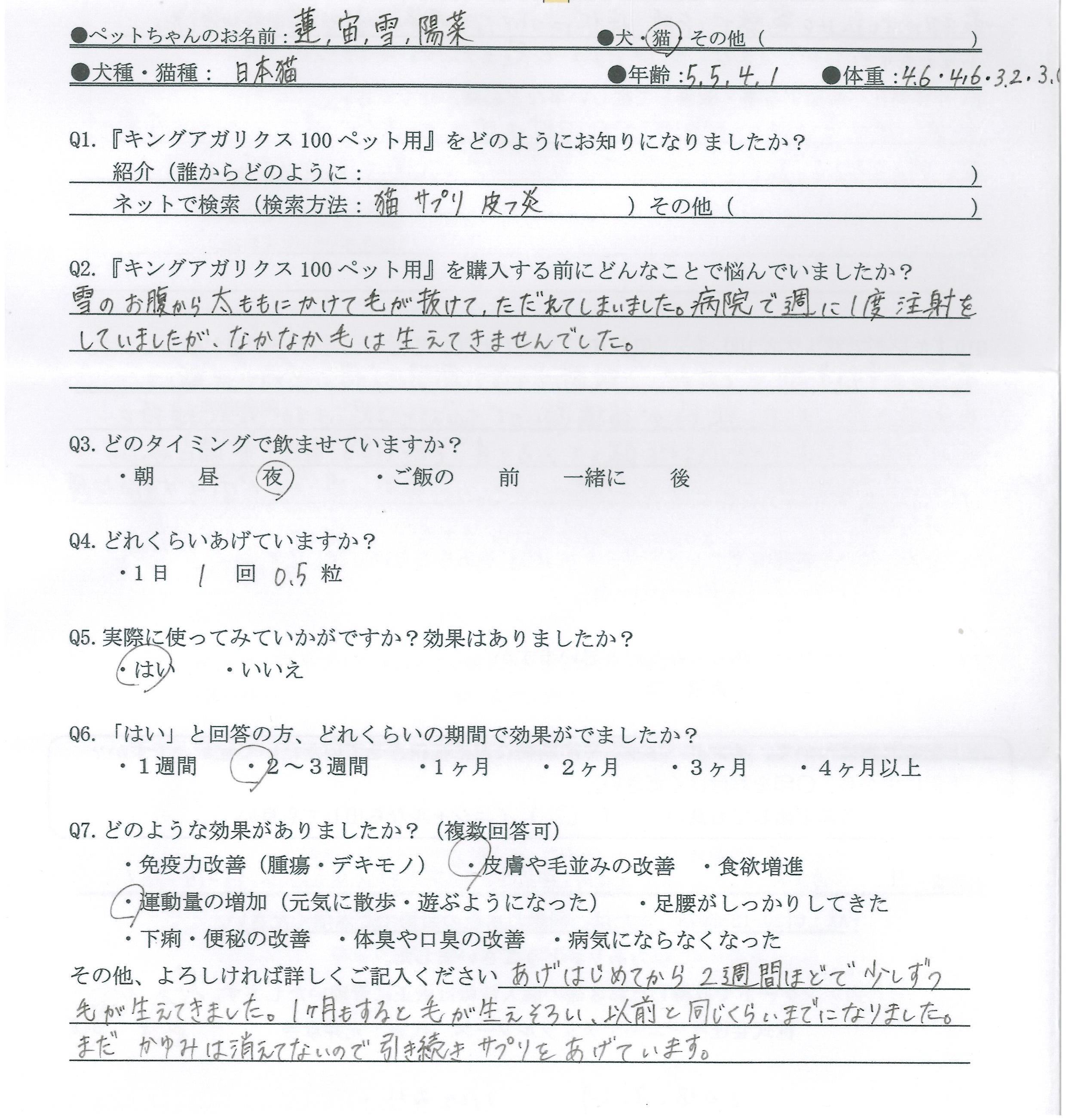 皮膚炎の猫 ５歳 にサプリをあげたら ２週間で毛が生えてきました 口コミ 体験談4 7