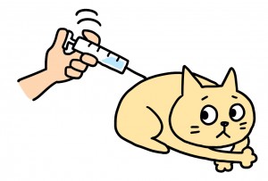 猫注射